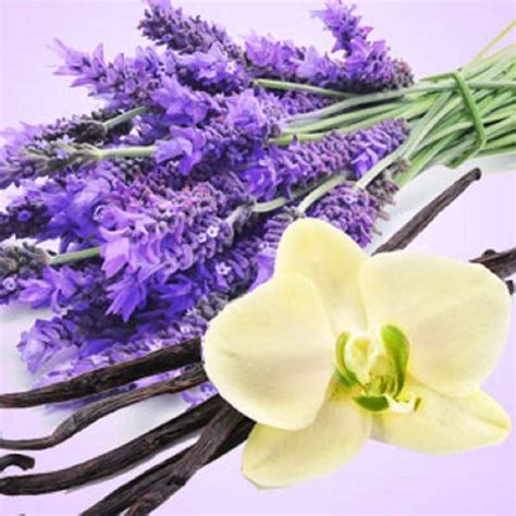 lavender vanilla fragrance.